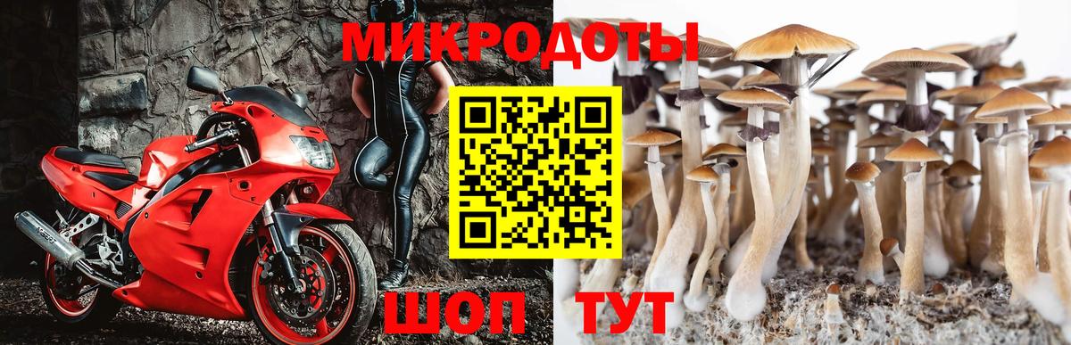 Галлюциногенные грибы Magic Shrooms  Вход с VPN  Калининград 