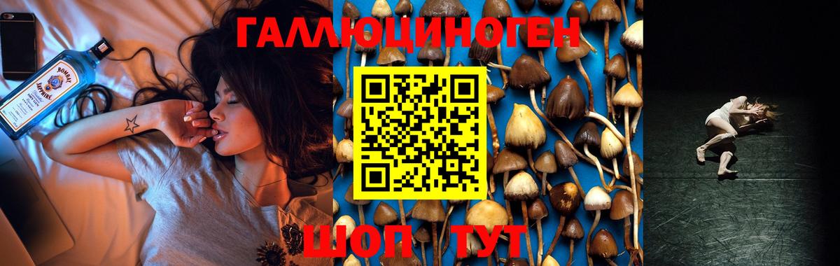 Псилоцибиновые грибы прущие грибы Калининград